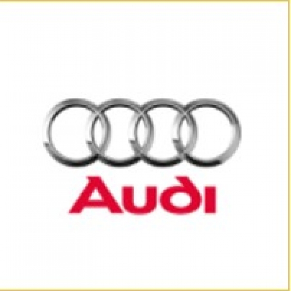 Audi Tamir ve Bakımı